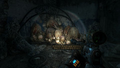 Many mutations thrive underground.