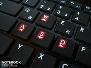 The WASD keys are marked in red.