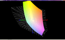 Satellite Radius P50W vs. sRGB