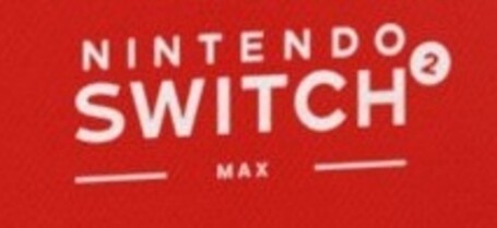 Tiny "2" and "Max" with distortion. (Image source: @NintendogsBS)