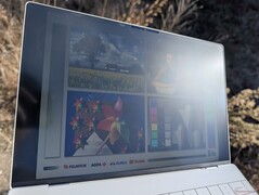 Outdoors under sunlight