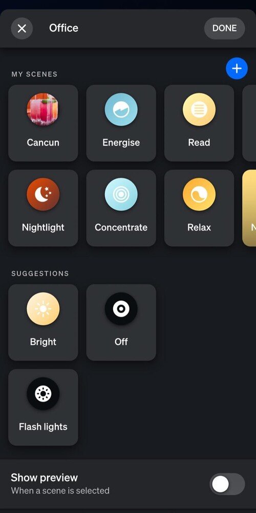 The 'Show preview' toggle is shown at the bottom of the scene selection page. (Image source: Notebookcheck)