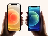 The iPhone 12 mini has not gone down well with people so far, unlike the rest of the iPhone 12 series. (Image source: Apple)