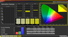 CalMAN saturation Display-P3