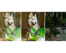 Adobe's Camera Raw plug-in now removes reflections on glass surfaces (Image Source: Adobe)