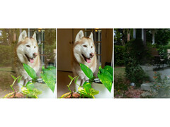 Adobe's Camera Raw plug-in now removes reflections on glass surfaces (Image Source: Adobe)