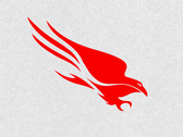 CrowdStrike Falcon Platform (Image source: CrowdStrike)