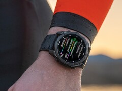 Some Garmin Fenix 8 smartwatches are reported to have issues relating to cold water. (Image source: Garmin)