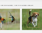 These two photos, among others on the Lumix S9 product page, started the controversy (Image source: Panasonic)