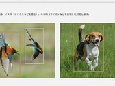 These two photos, among others on the Lumix S9 product page, started the controversy (Image source: Panasonic)