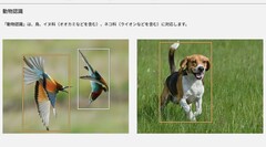 These two photos, among others on the Lumix S9 product page, started the controversy (Image source: Panasonic)