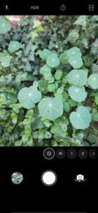 Oppo Find X software