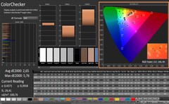 CalMAN: ColorChecker (calibrated)