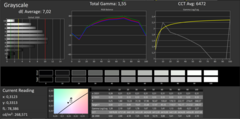 Calman Grayscale (before calibration)