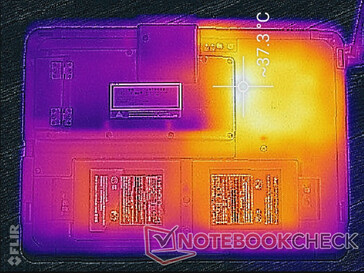 High processing stress (back)