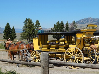 While still a novelty mode of transportation, horse-drawn carriages were commonplace in the 1800s. (Image source: Maddy Weiss on Unsplash)