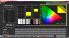 CalMAN ColorChecker (Profile: P3)