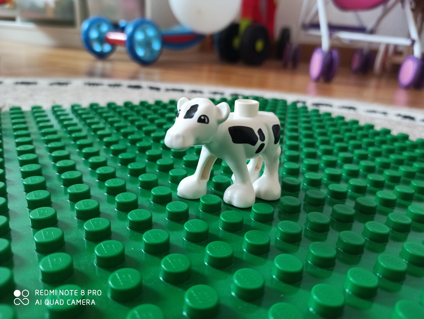 Redmi Note 8 Smartphone Camera Review With the Pro, the Note 8 finds