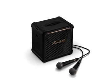 2 inputs for microphones or instruments