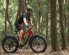 The Vanpowers GrandTeton-Pro e-bike has a 750W motor. (Image source: Vanpowers)