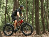 The Vanpowers GrandTeton-Pro e-bike has a 750W motor. (Image source: Vanpowers)
