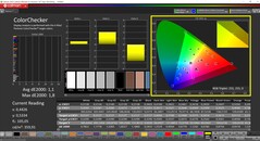 CalMAN Colorchecker (mode: P3, target color space: P3)