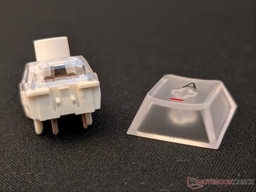 Frosted/translucent keycap and the Nexus switch.
