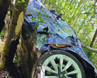 The Model 3 hurtled 85 feet into the air before slamming into a tree trunk (image: Black Lake Towing)