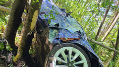 The Model 3 hurtled 85 feet into the air before slamming into a tree trunk (image: Black Lake Towing)