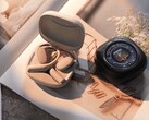 The Wave X5L are new wireless earbuds with a display and lots of features (Image source: Wave)
