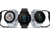 The Forerunner 955 comes in quartz and solar-powered variants. (Image source: Garmin)