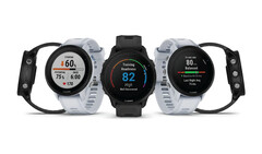 The Forerunner 955 comes in quartz and solar-powered variants. (Image source: Garmin)