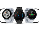 The Forerunner 955 comes in quartz and solar-powered variants. (Image source: Garmin)