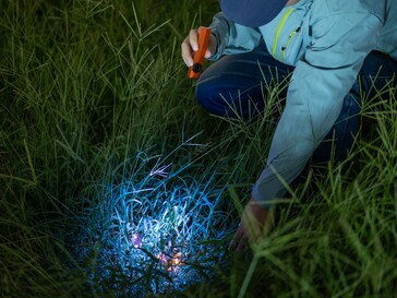 The Olight ArkPro Ultra has a UV light for detecting organic stains.
