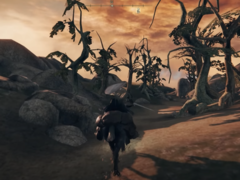 Screengrab from the in-progress port of Morrowind using Elden Ring (image source: InfernoPlus YT)