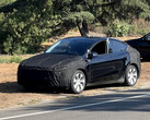 The Tesla Model Y Juniper refresh hass finally appeared, signalling progress towards an early 2025 launch. (Image source: u/JacklJackon Reddit)