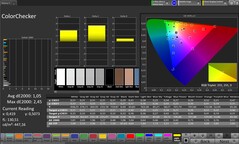 CalMAN Color Accuracy – Outdoor Display