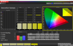 CalMAN saturation calibrated