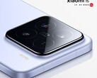 The Xiaomi 15 has a 6.36-inch display like its predecessor. (Image source: Xiaomi)