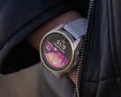 Software Version 17.28 is a minor revision over the update that Garmin delivered a month ago. (Image source: Garmin)