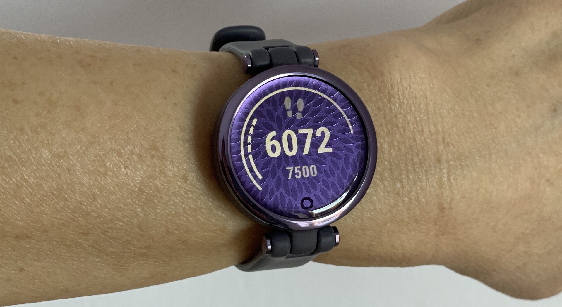 garmin 30