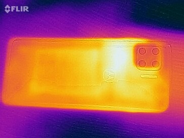 Back Heatmap