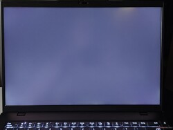 Backlight bleeding (shown enhanced here)