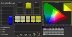 CalMAN - Color saturation (calibrated)