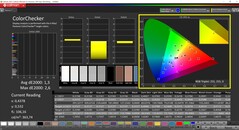 CalMAN ColorChecker (profile: P3, target color space P3)