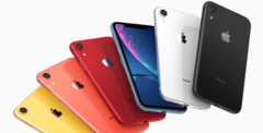 Apple continues to dominate the North American market with a 40 percent share of the market. (Source: Apple) Apple continues to dominate the North American market with a 40 percent share of the market. (Source: Apple)