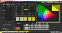 CalMAN saturation (profile: native)