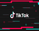TikTok has been banned in India. (Source: The News Minute)