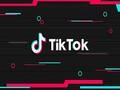 TikTok has been banned in India. (Source: The News Minute)