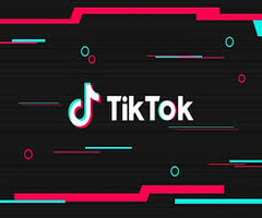 TikTok has been banned in India. (Source: The News Minute)